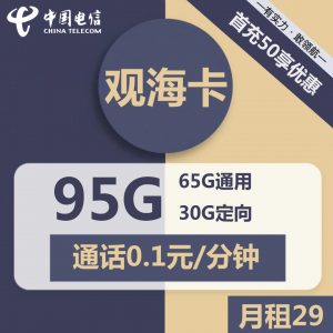 电信观海卡-29元95G电信流量卡推荐-卡七七