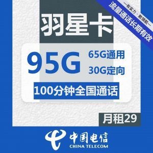 电信羽星卡-29元95G电信流量卡推荐-卡七七