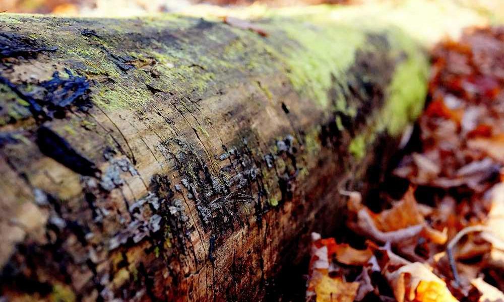 流量卡代理：赚钱的新趋势-卡七七