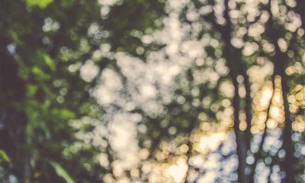 上班是真的耽误赚钱，还得靠流量卡代理赚钱-卡七七