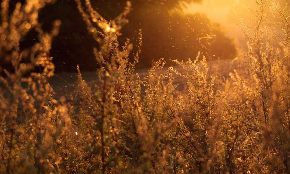 流量卡代理副业，线上推广月入过万-卡七七