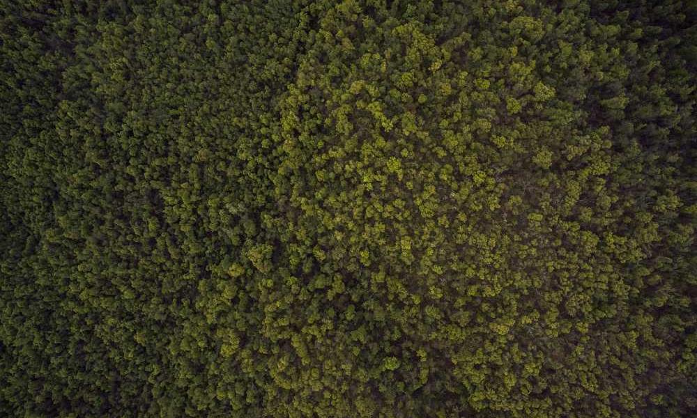 做流量卡代理能赚钱吗?-卡七七