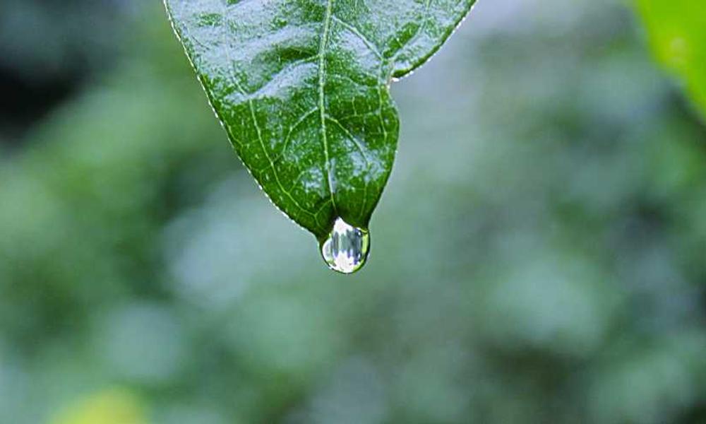 为什么很多流量卡北京都禁发啊-卡七七