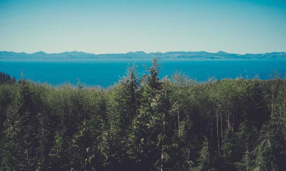 手机号APP解绑全攻略！掌握“一键解绑”功能操作步骤-卡七七