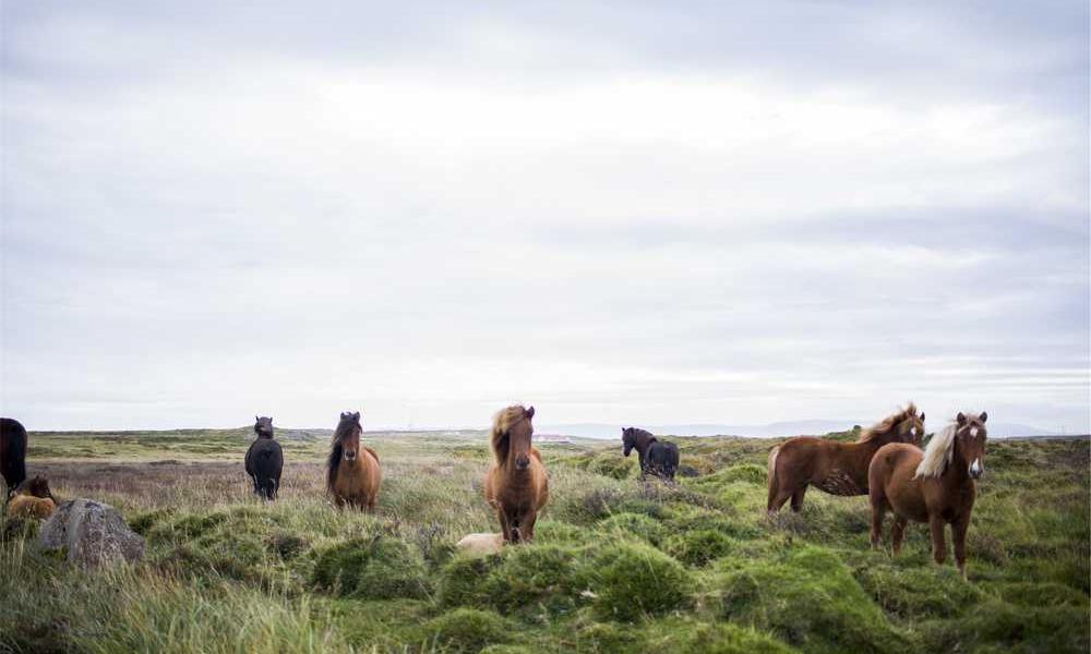 电信天青卡19元210G通用+30G定向+通话0.1元/分钟-卡七七