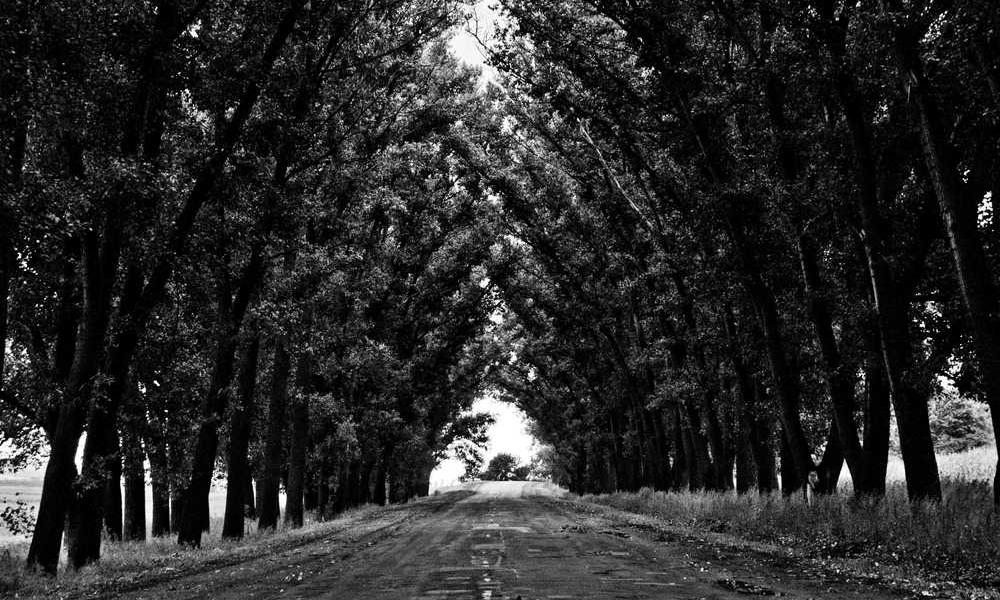 京东快递坚持当面激活流量卡，用户该如何操作？-卡七七