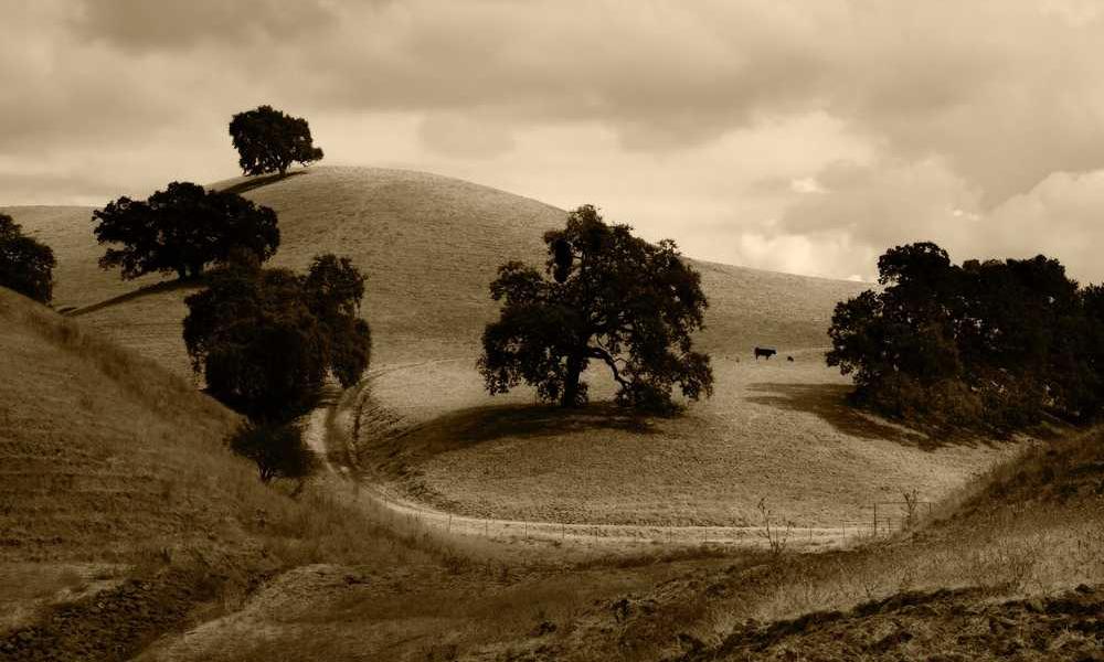 流量卡归属地问题，网上购买的联通卡是否随机分配？-卡七七