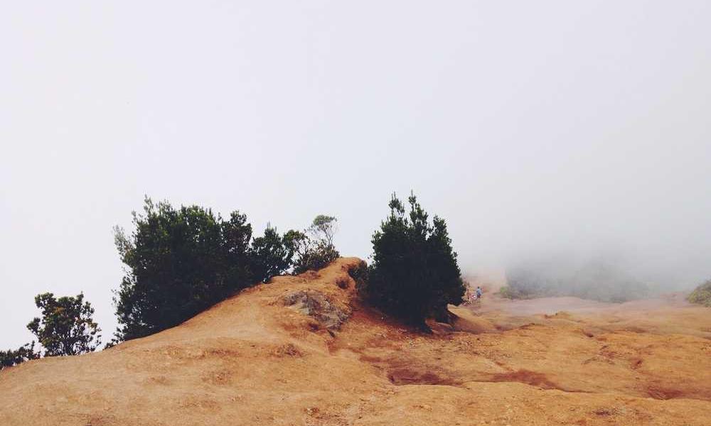 线上流量卡便宜背后的真相，优缺点全解析-卡七七