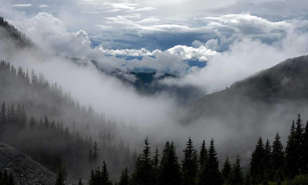 流量卡激活是否需要快递人员亲自操作？-卡七七