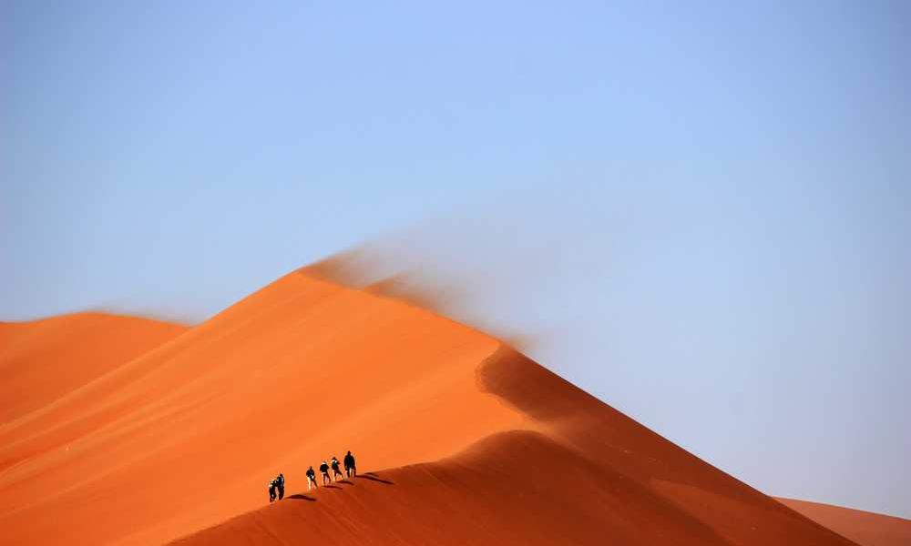 避免被割韭菜，流量卡和物联卡的区别全解析-卡七七