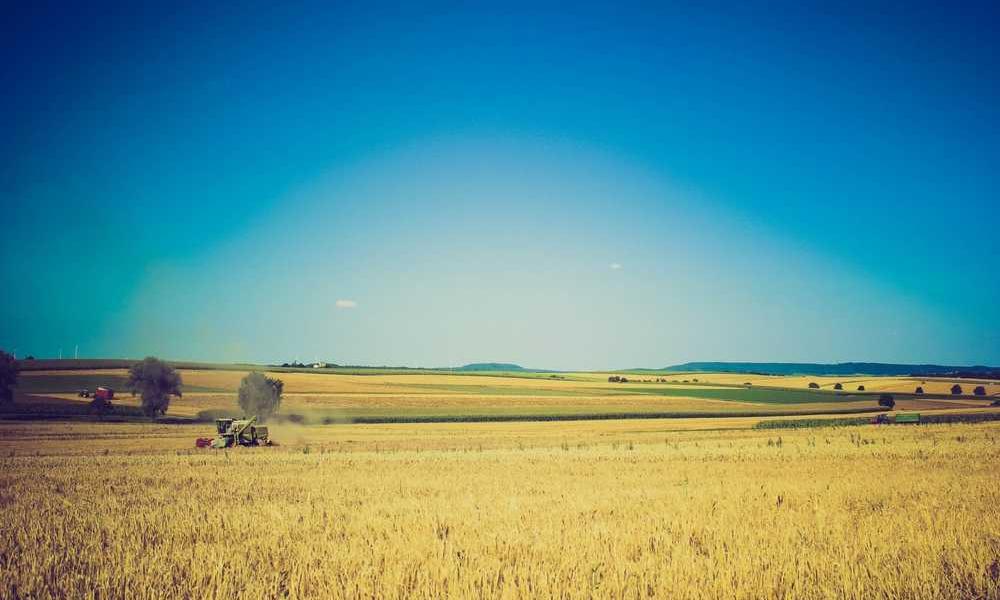 流量卡选购指南，超越价格的全方位考量-卡七七