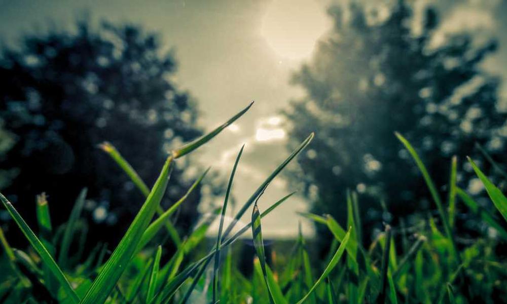 流量卡购买指南，如何识别和避免“虚假”流量卡-卡七七