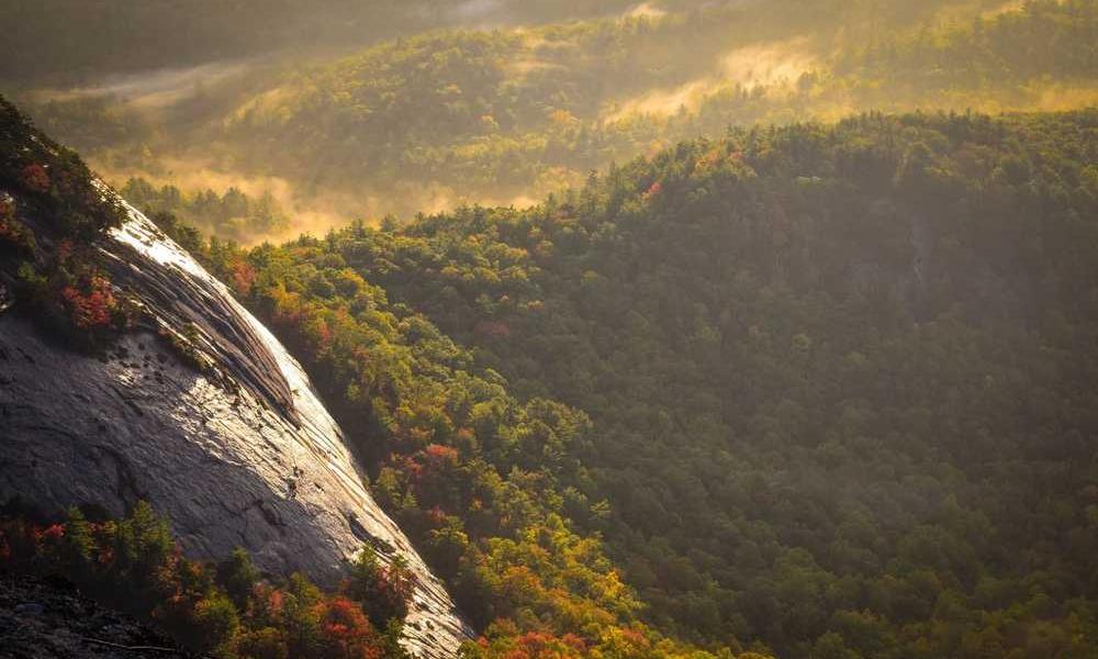 如何挑选适合你的手机卡-卡七七