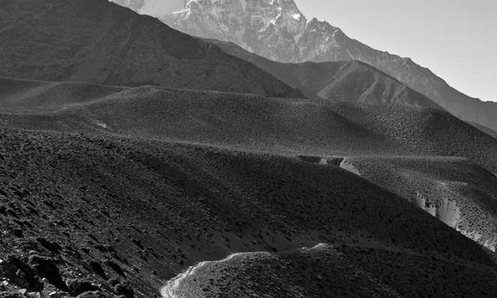 如何选择适合你的流量卡？-卡七七