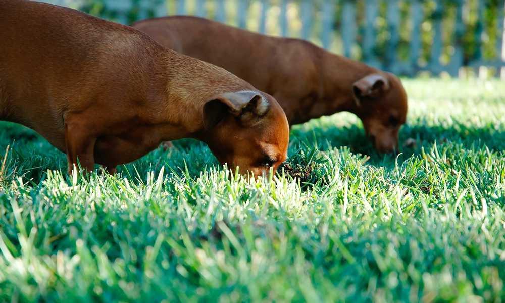 探索流量卡的便利与效益-卡七七