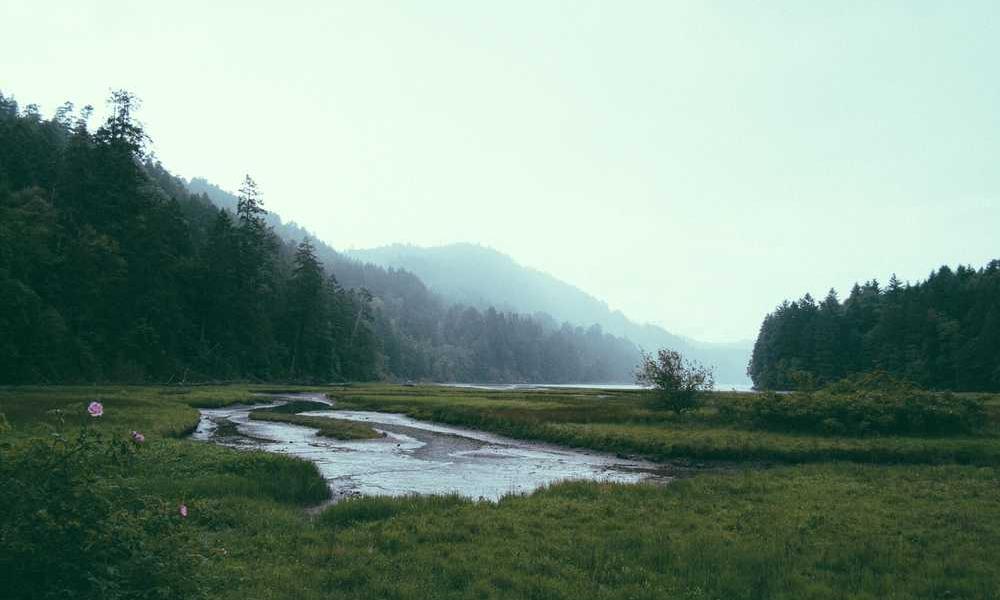 便捷实惠的流量卡选择-卡七七
