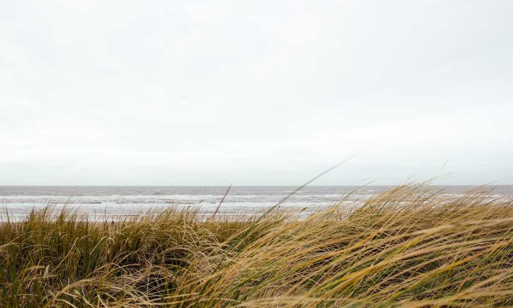 如何选择和使用流量卡-卡七七