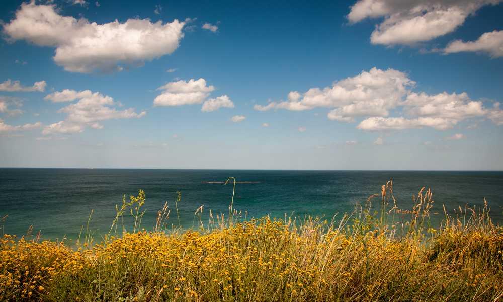 便捷高效的流量卡选择-卡七七