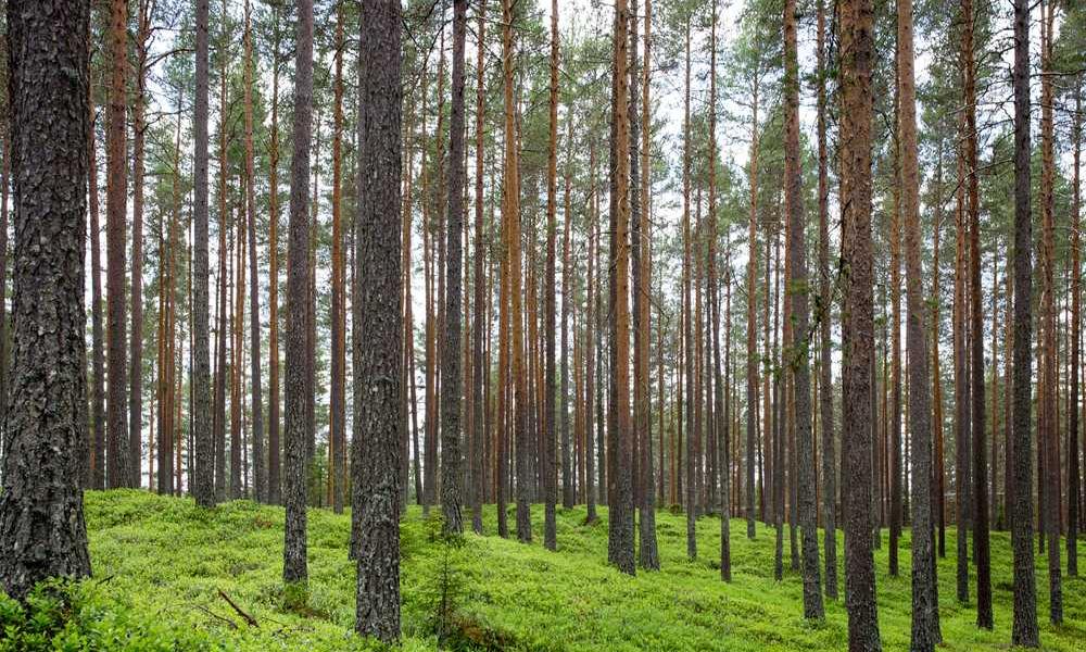 中国电信的流量卡选择-卡七七