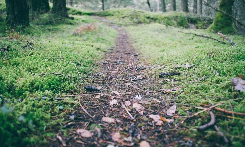 中国电信流量卡-卡七七