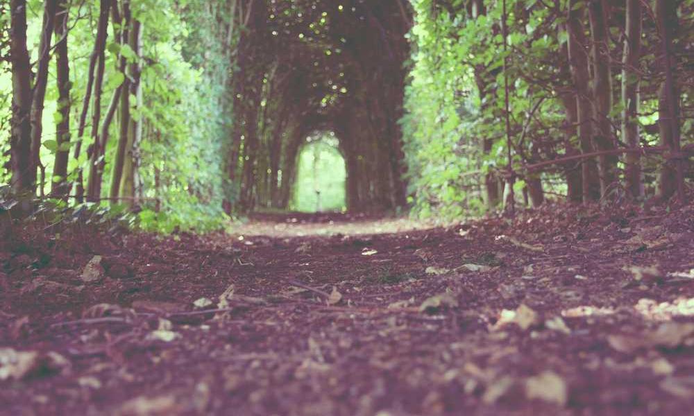 中国移动流量卡选择指南-卡七七