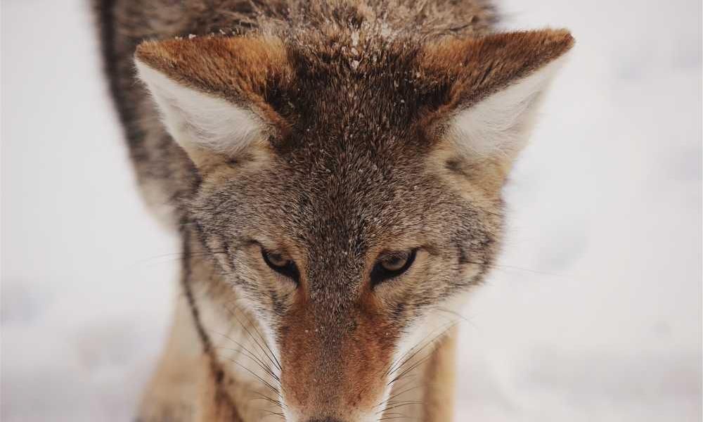 流量卡的使用与选择-卡七七