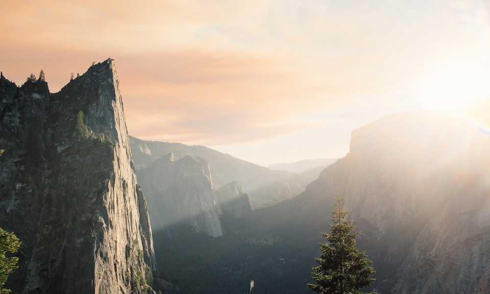 流量卡代理的全面指南-卡七七