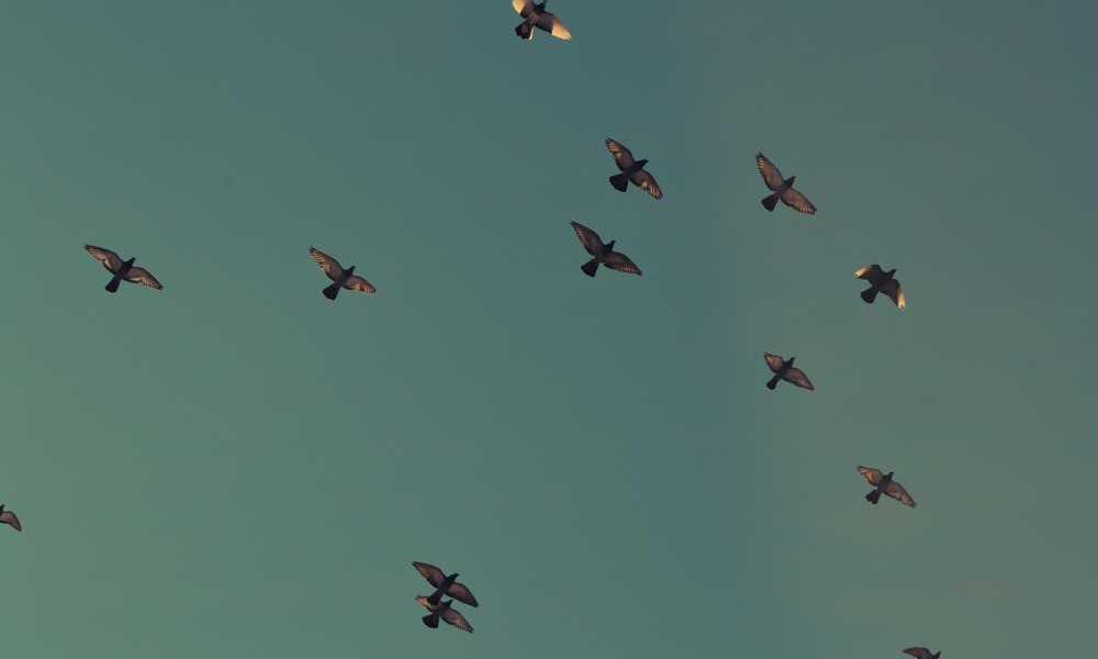 探索流量卡代理-卡七七