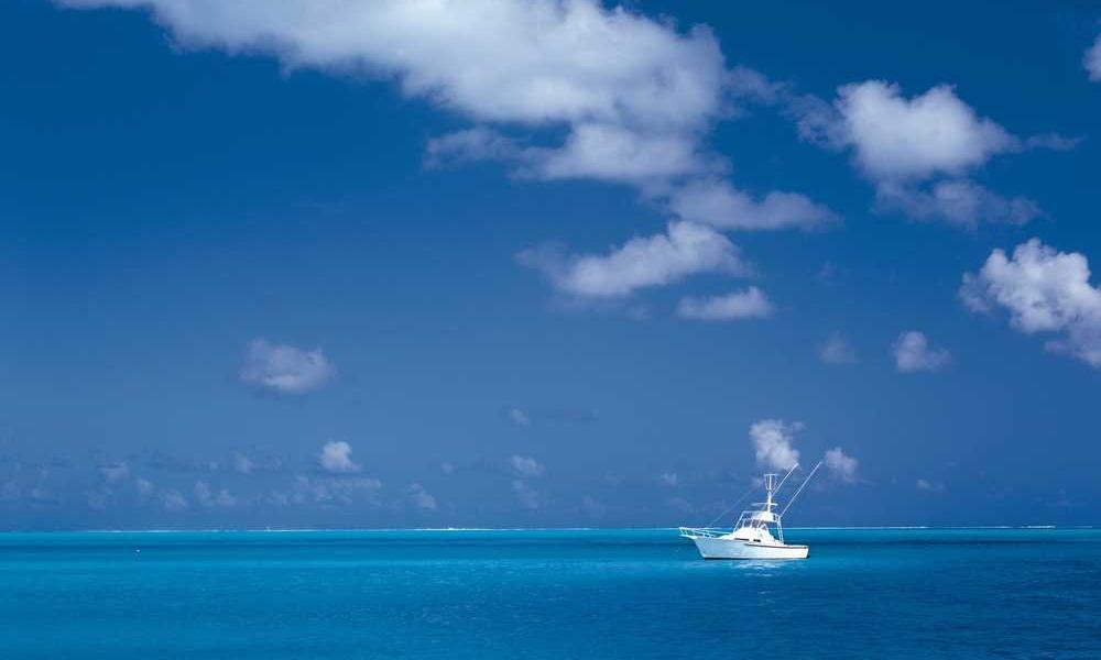 2024年最佳手机流量卡推荐：高校新生必读！-卡七七