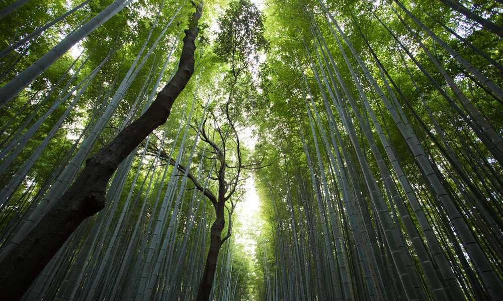 学生党必备！如何选择最经济实惠的流量卡？-卡七七